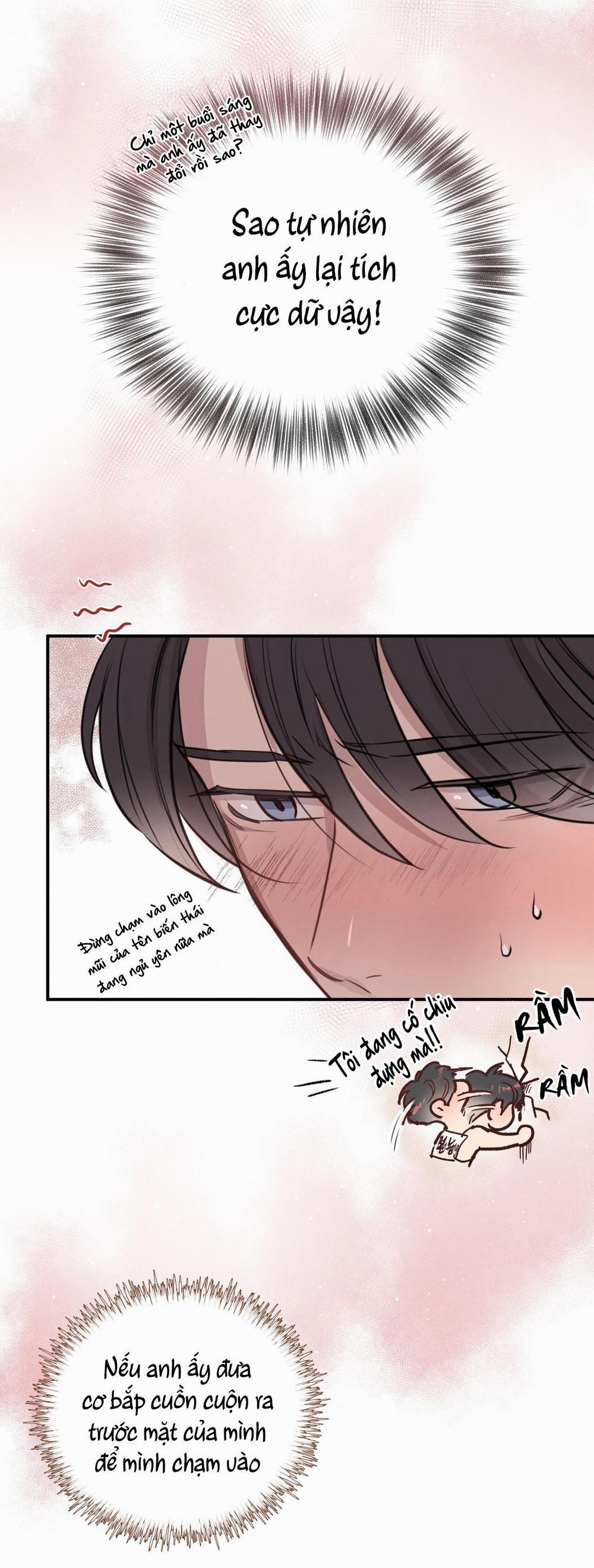 Mật Gấu 8 trang 14