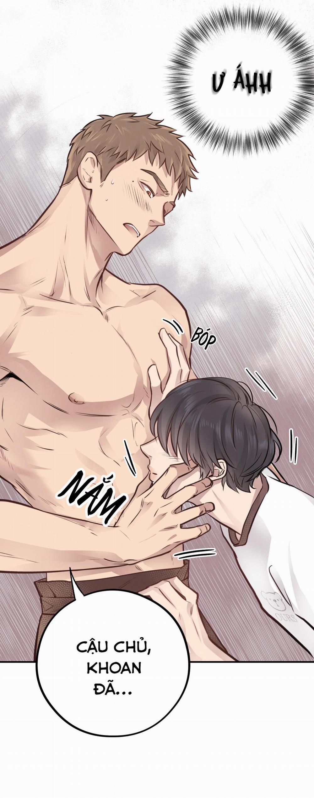 Mật Gấu 8 trang 41