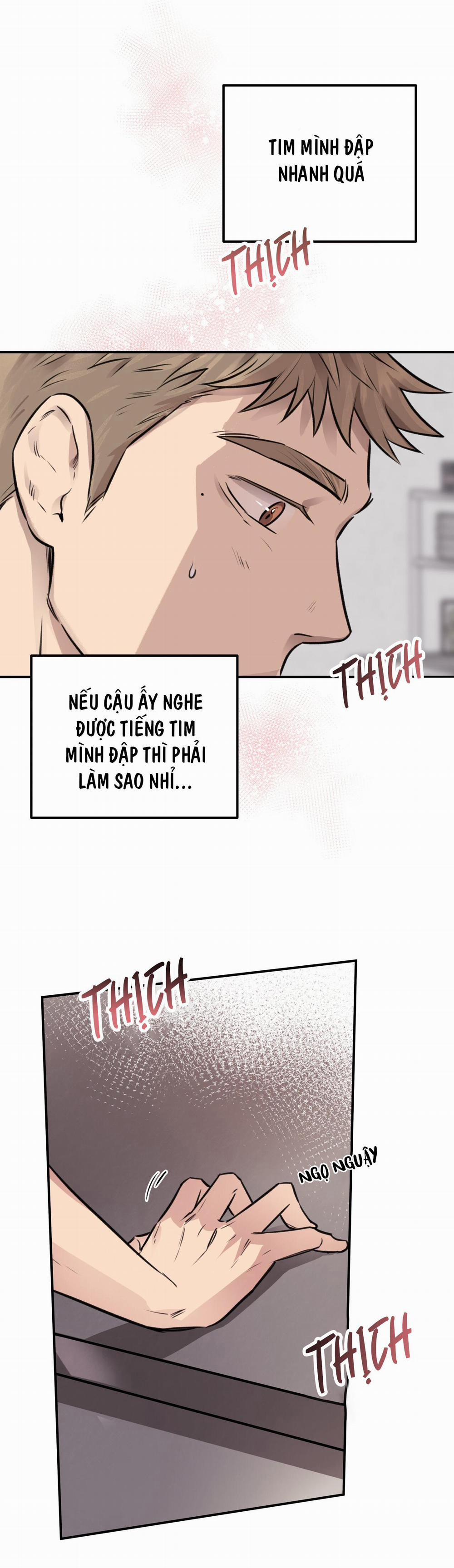 Mật Gấu 8 trang 9