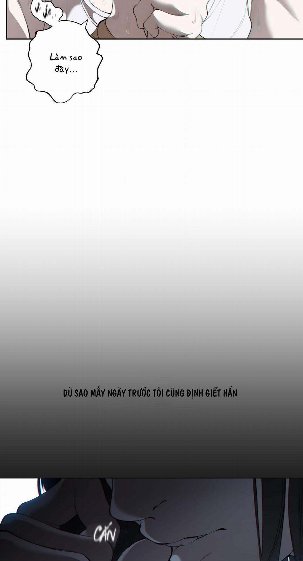 MẶT NẠ ĐẦU CỪU 11 trang 8