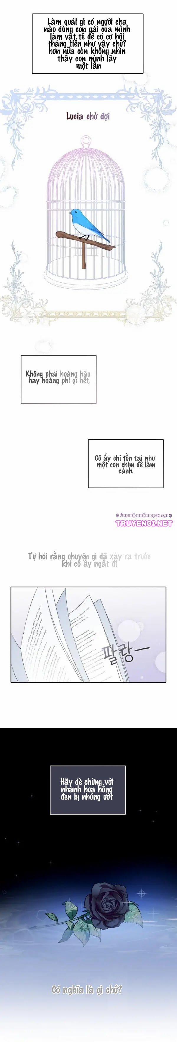 Mặt Nạ Hoàng Đế 1 trang 27