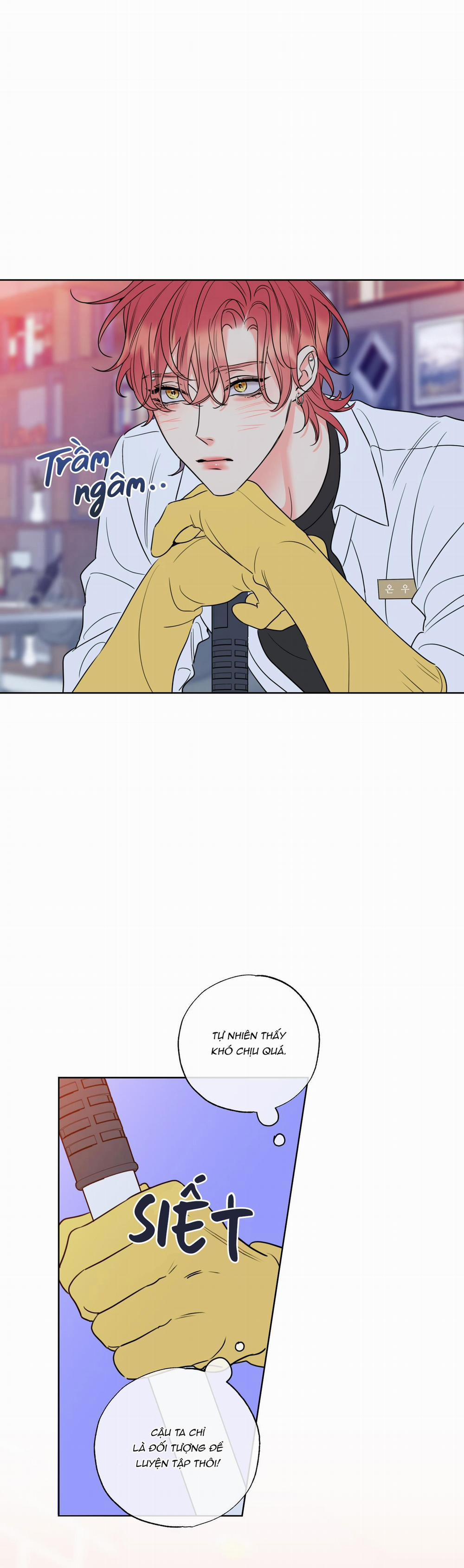 MẬT ONG NHÀ LÀM 12 trang 21