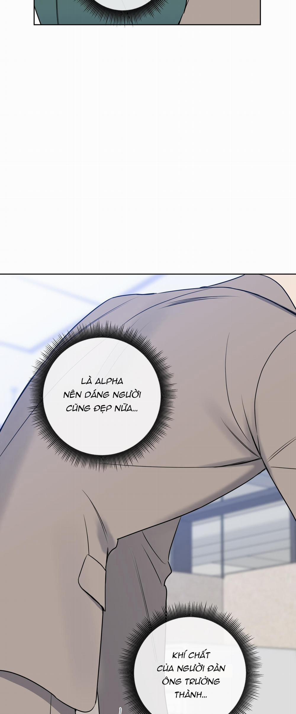 MẬT ONG NHÀ LÀM 17 trang 28