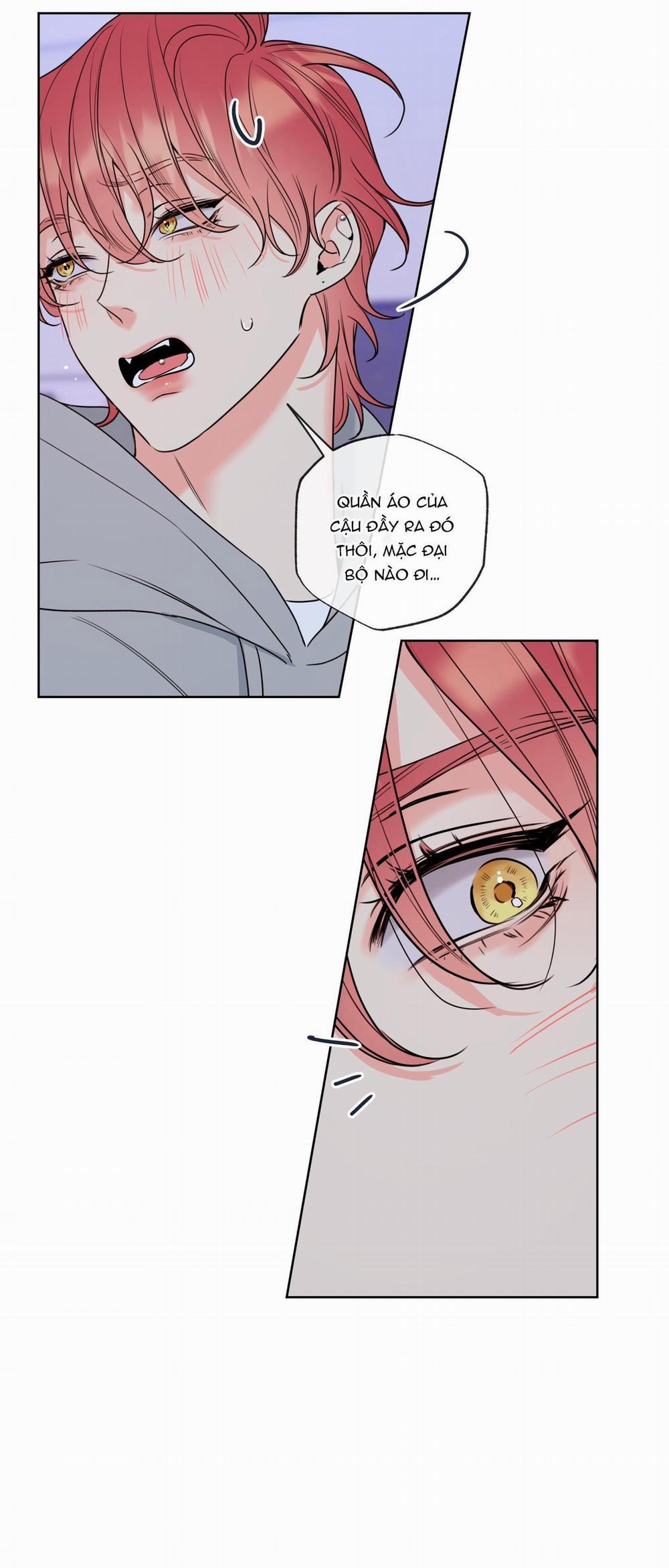 MẬT ONG NHÀ LÀM 18 trang 14