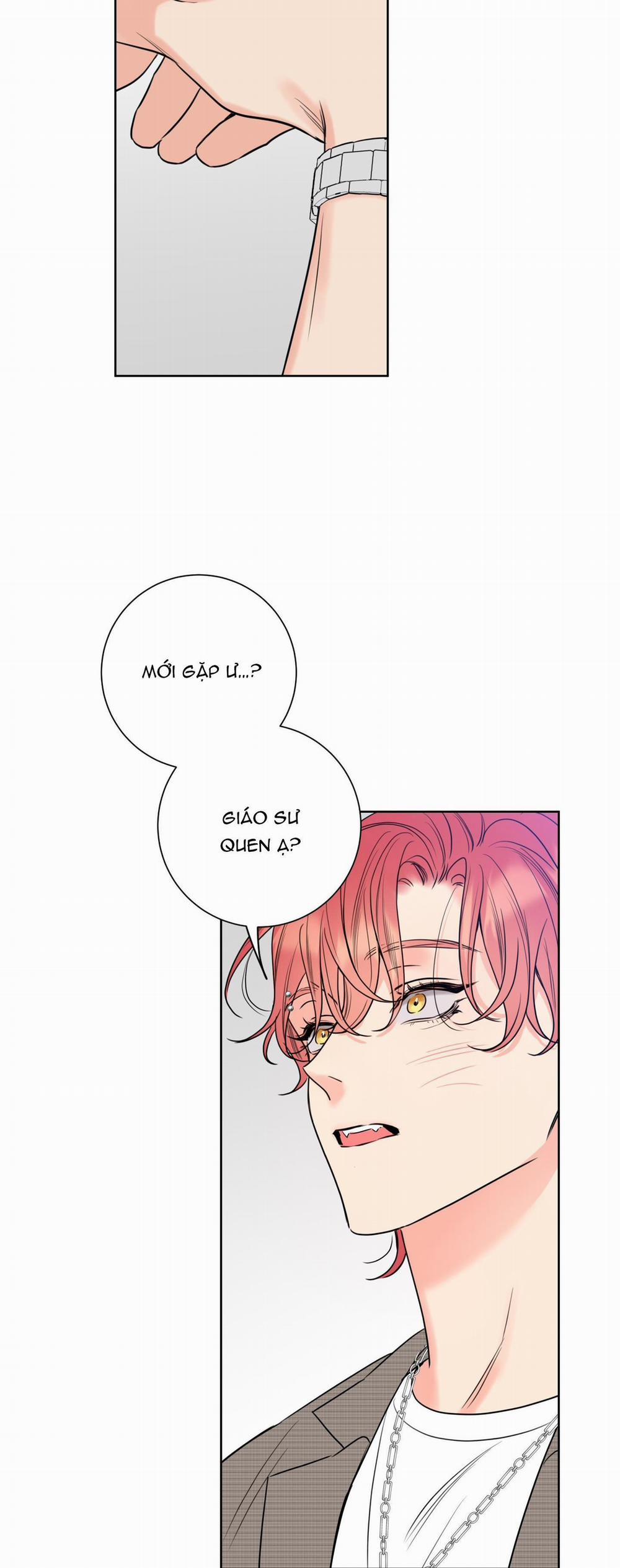 MẬT ONG NHÀ LÀM 18 trang 46