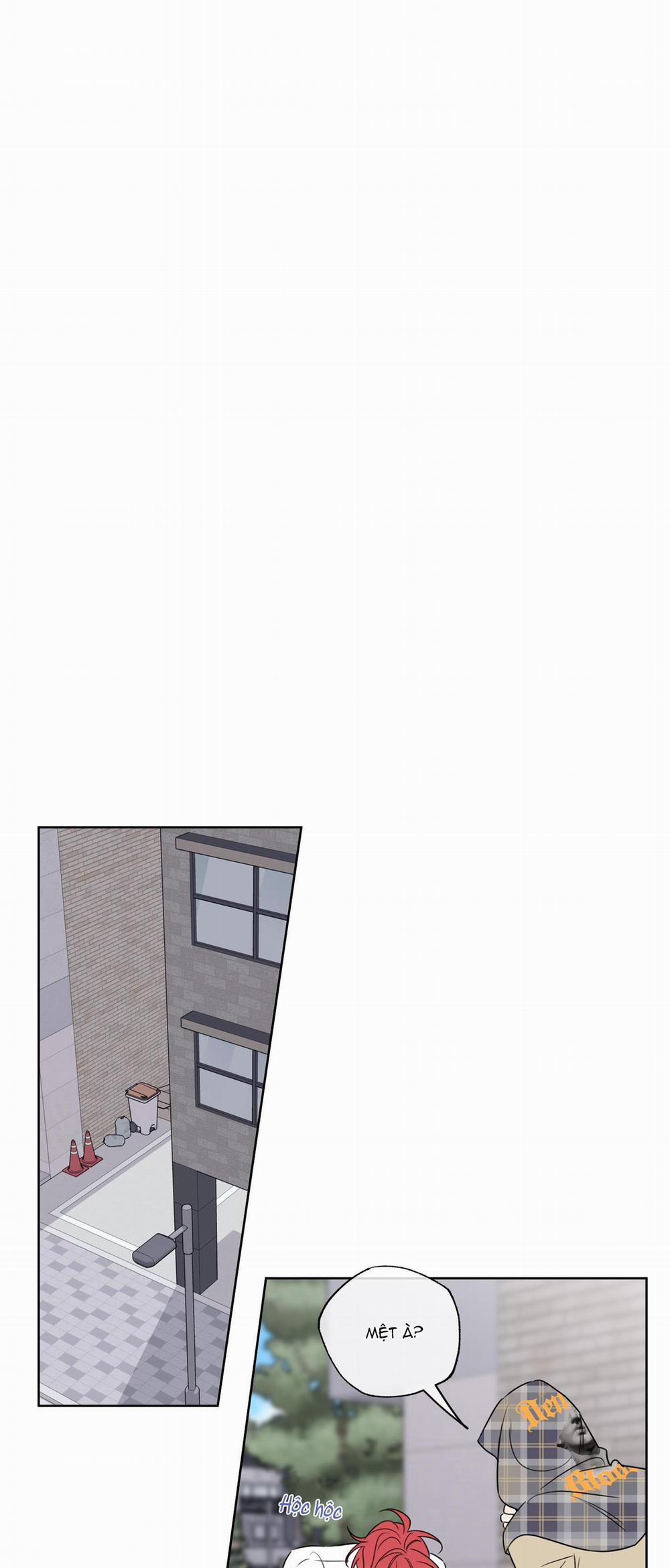 MẬT ONG NHÀ LÀM 20 trang 21