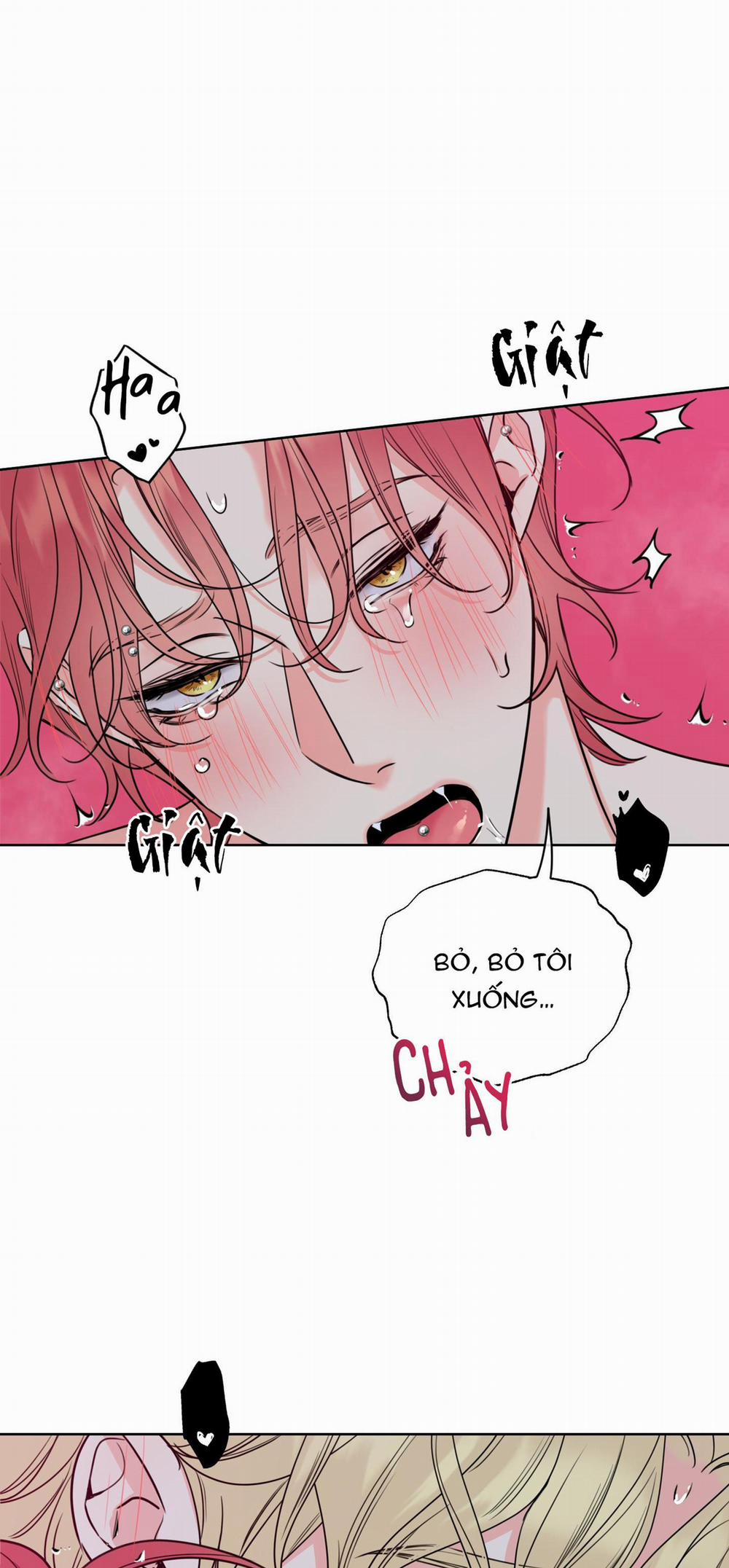 MẬT ONG NHÀ LÀM 22 trang 29