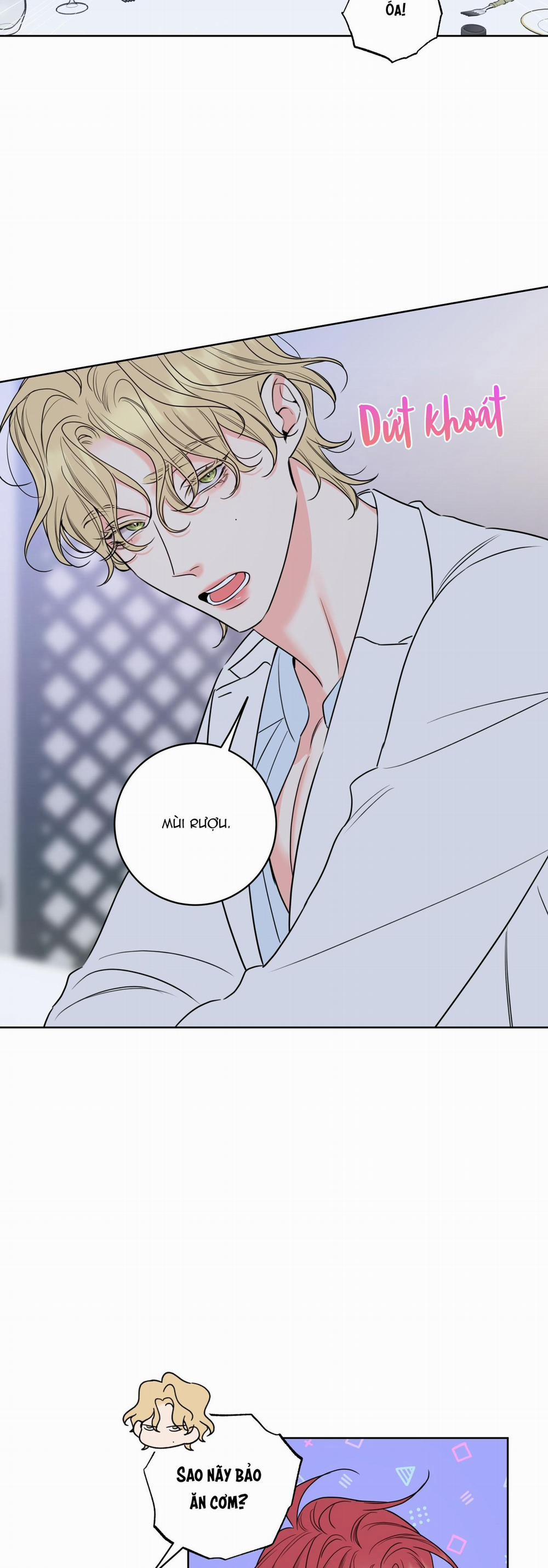 MẬT ONG NHÀ LÀM 24 trang 3