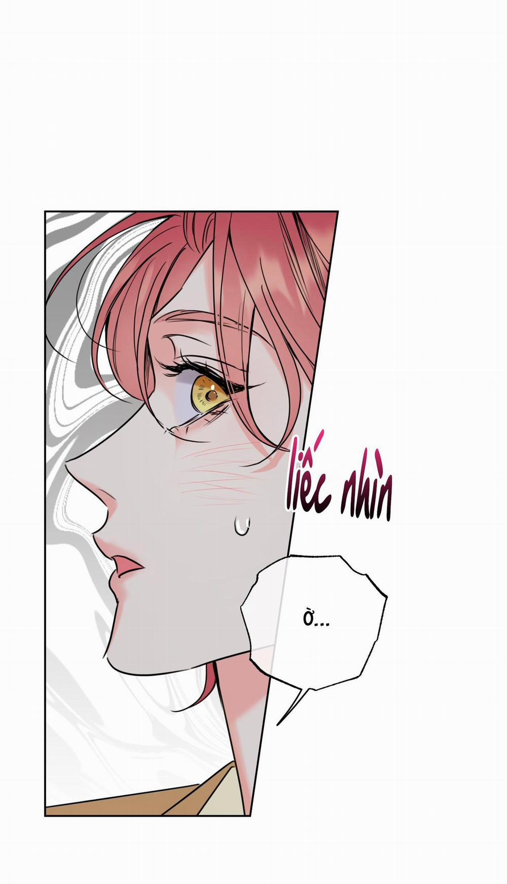 MẬT ONG NHÀ LÀM 27 trang 3