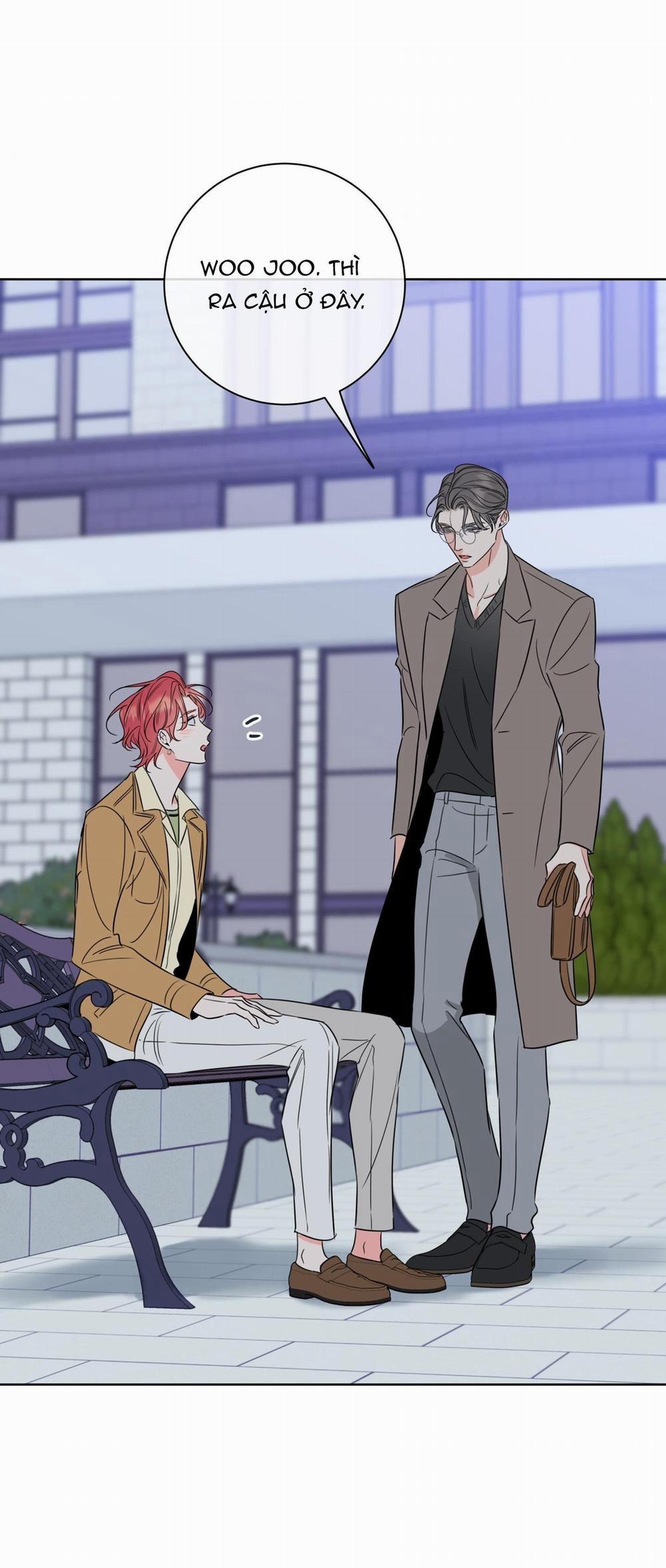 MẬT ONG NHÀ LÀM 27 trang 46