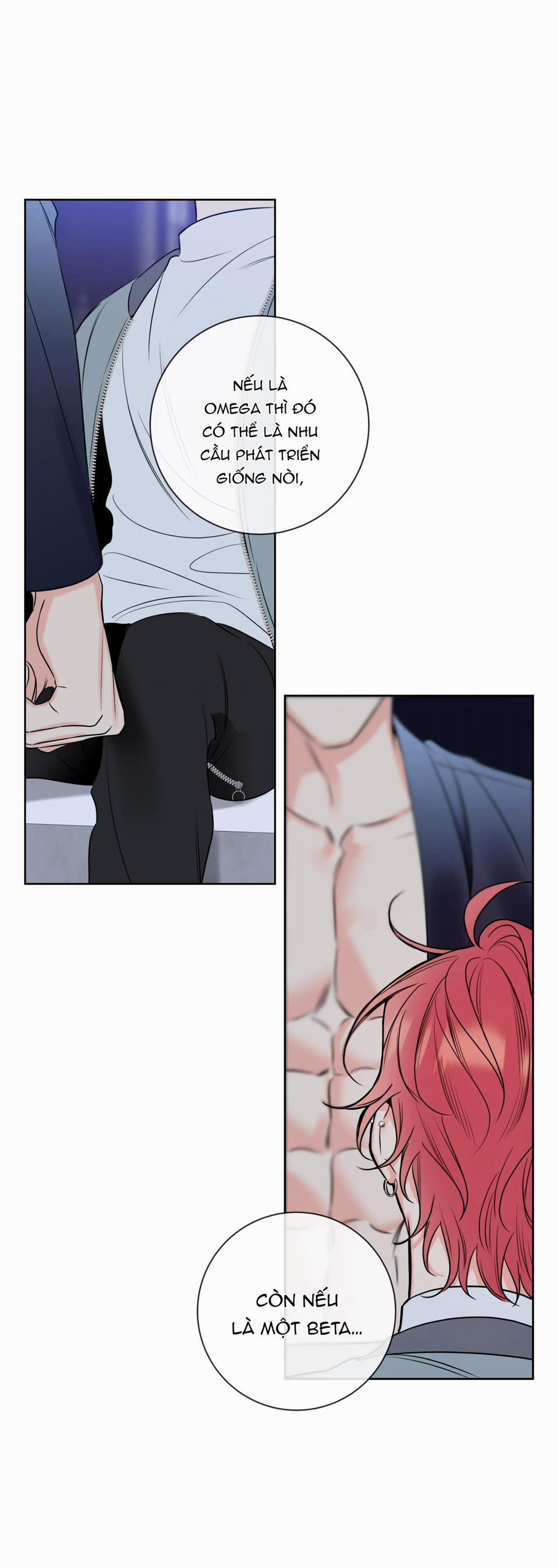 MẬT ONG NHÀ LÀM 28 trang 12