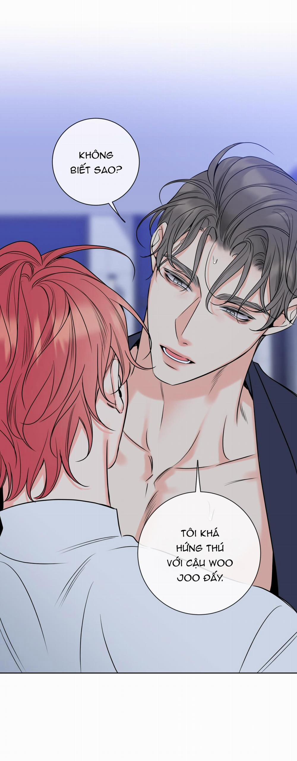 MẬT ONG NHÀ LÀM 28 trang 17