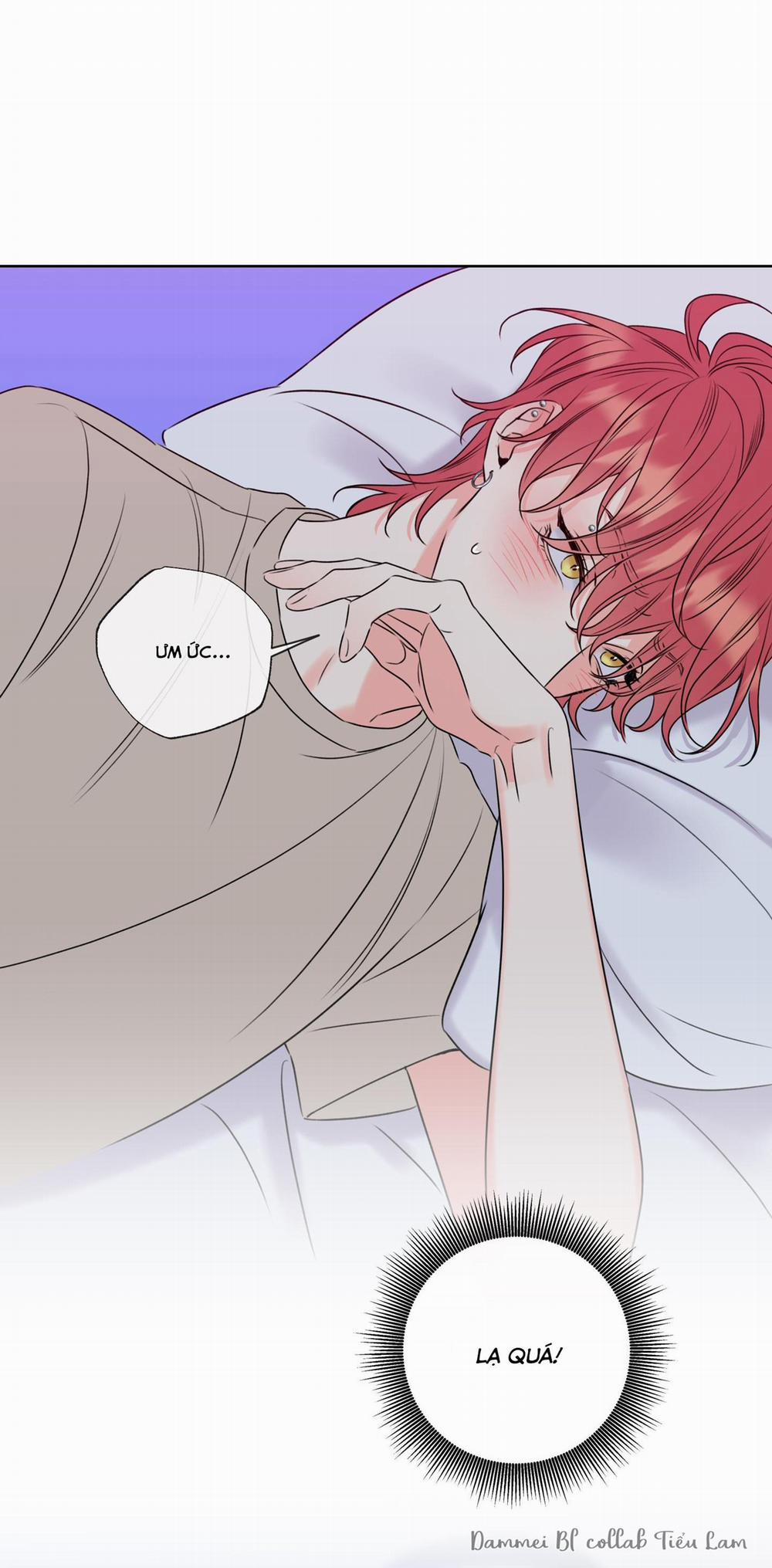 MẬT ONG NHÀ LÀM 7 trang 46