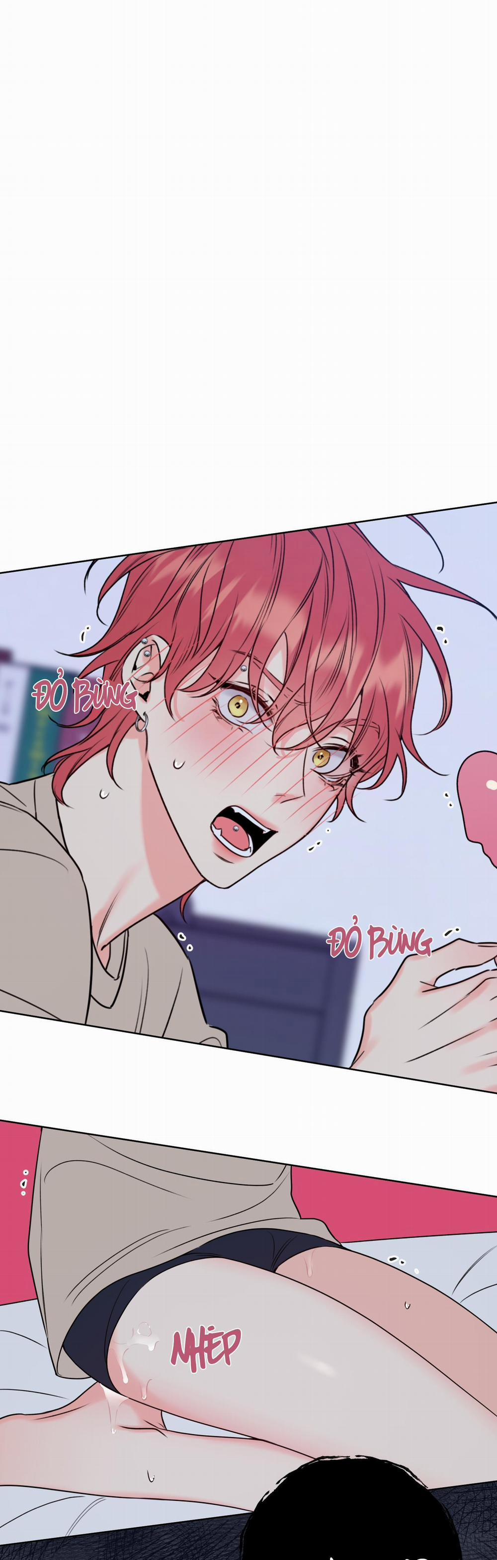 MẬT ONG NHÀ LÀM 8 trang 0