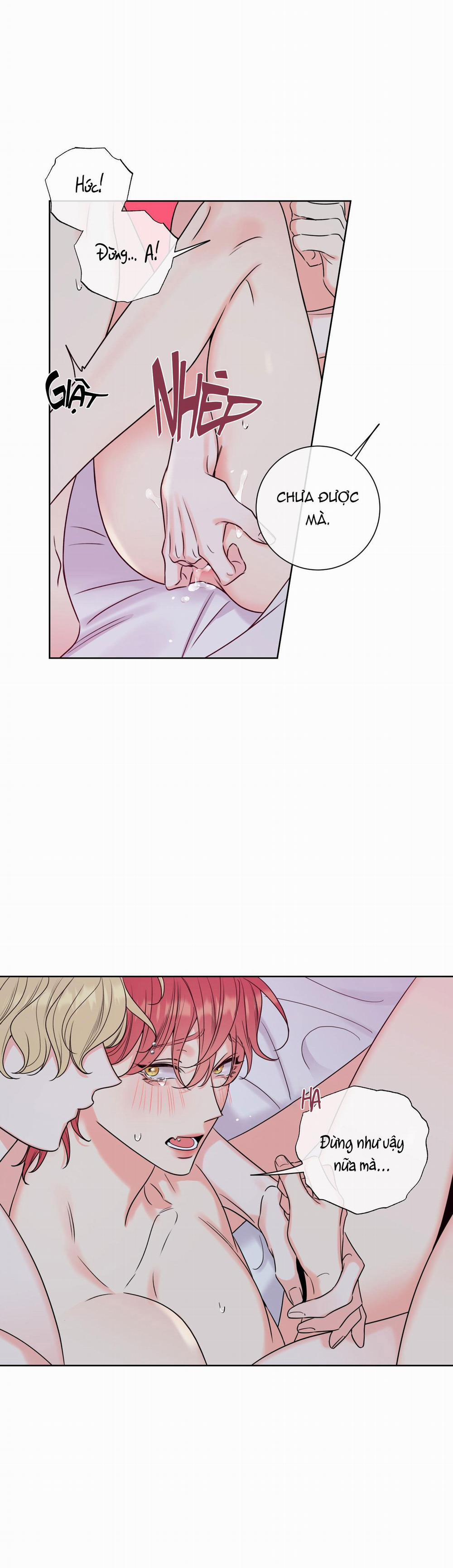 MẬT ONG NHÀ LÀM 9 trang 15