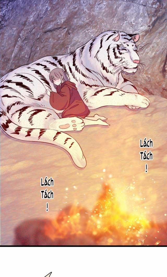 Mau Chạy !! Nam Thần Thú Thế Đến Truy Thê 20 trang 0