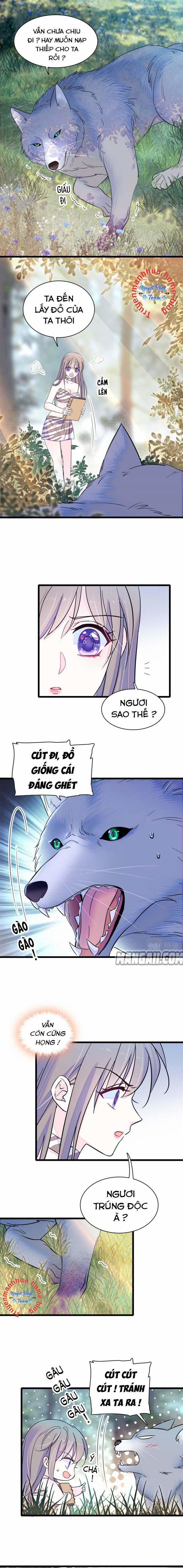 Mau Chạy !! Nam Thần Thú Thế Đến Truy Thê 37 trang 0