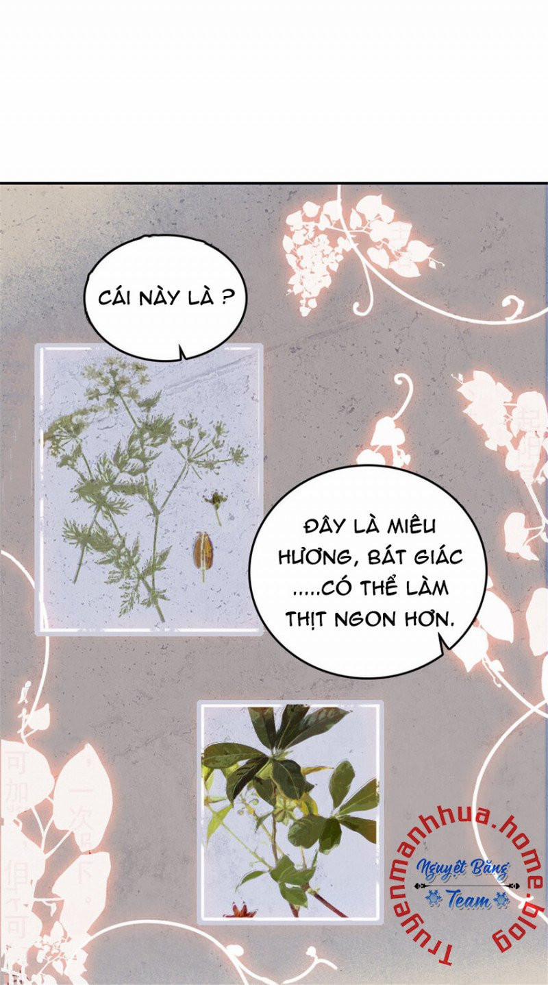 Mau Chạy !! Nam Thần Thú Thế Đến Truy Thê 45 trang 11