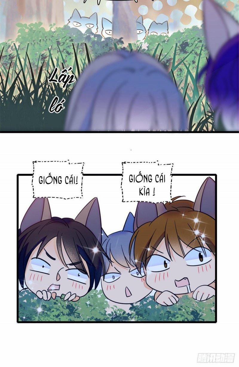 Mau Chạy !! Nam Thần Thú Thế Đến Truy Thê 47 trang 13