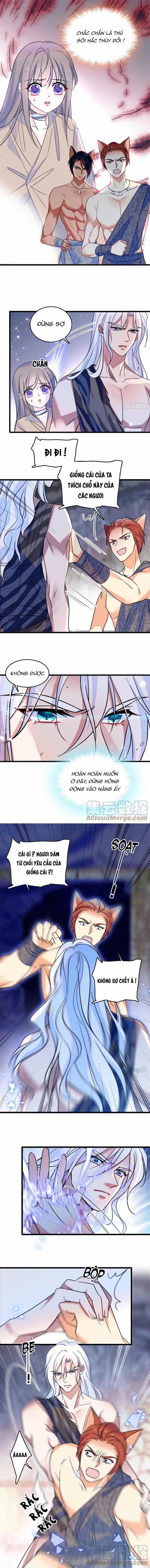 Mau Chạy !! Nam Thần Thú Thế Đến Truy Thê 59 trang 0