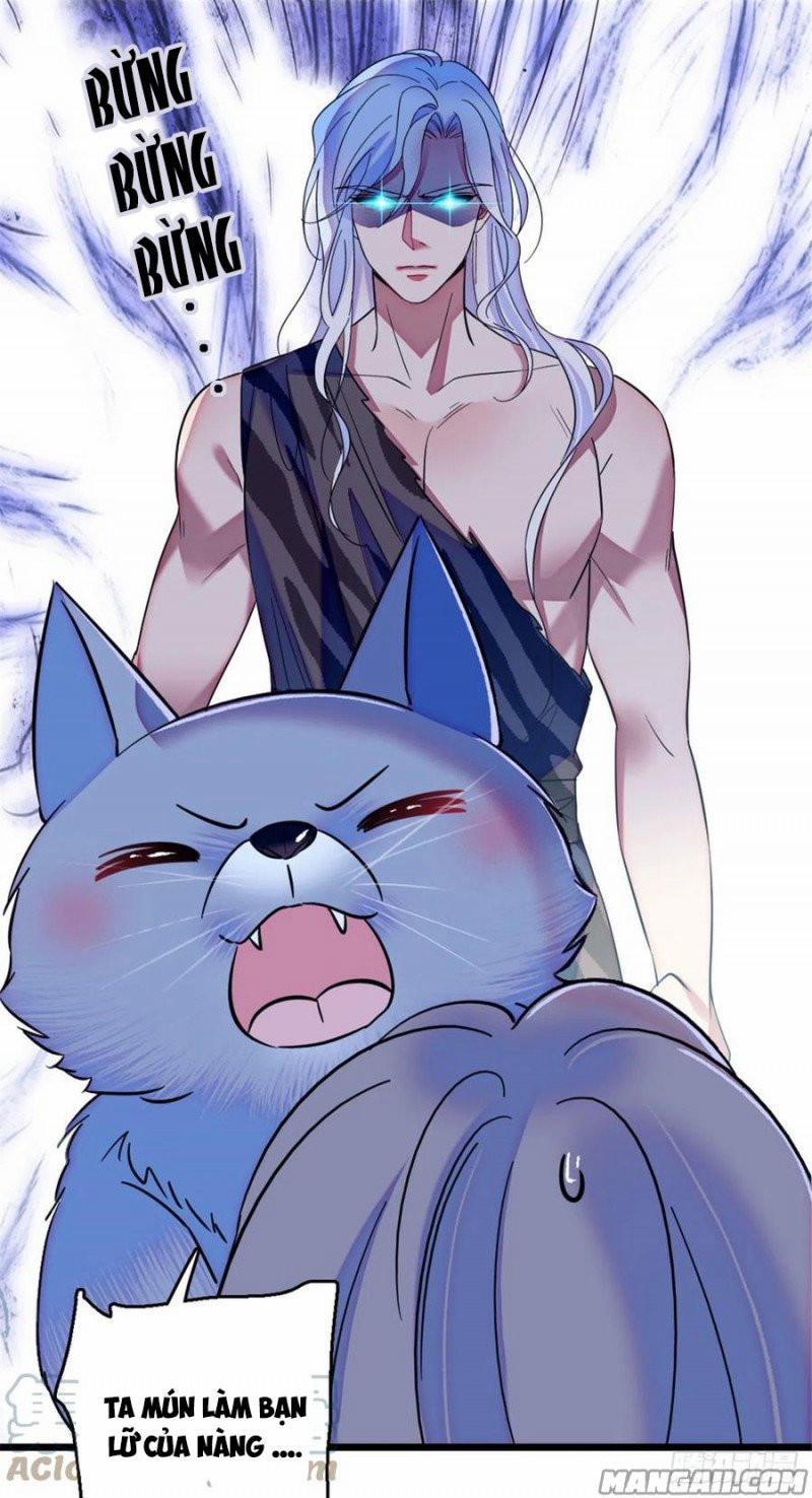 Mau Chạy !! Nam Thần Thú Thế Đến Truy Thê 64 trang 13