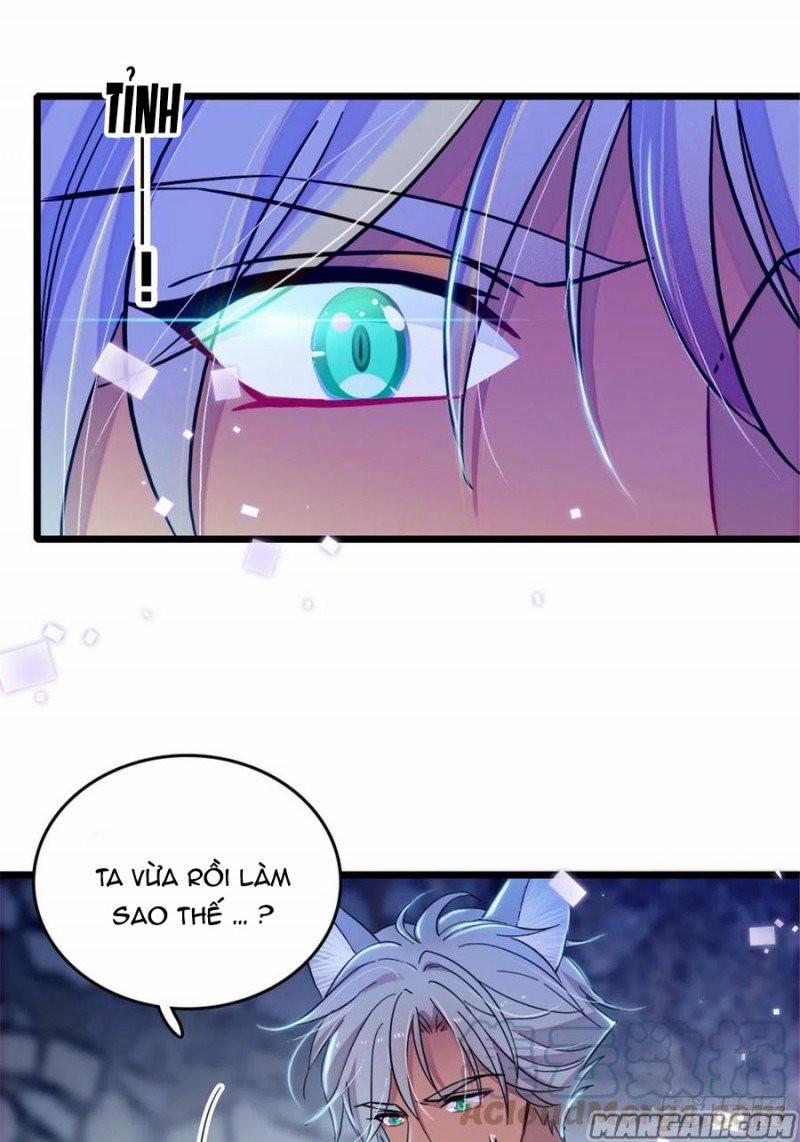 Mau Chạy !! Nam Thần Thú Thế Đến Truy Thê 77 trang 13