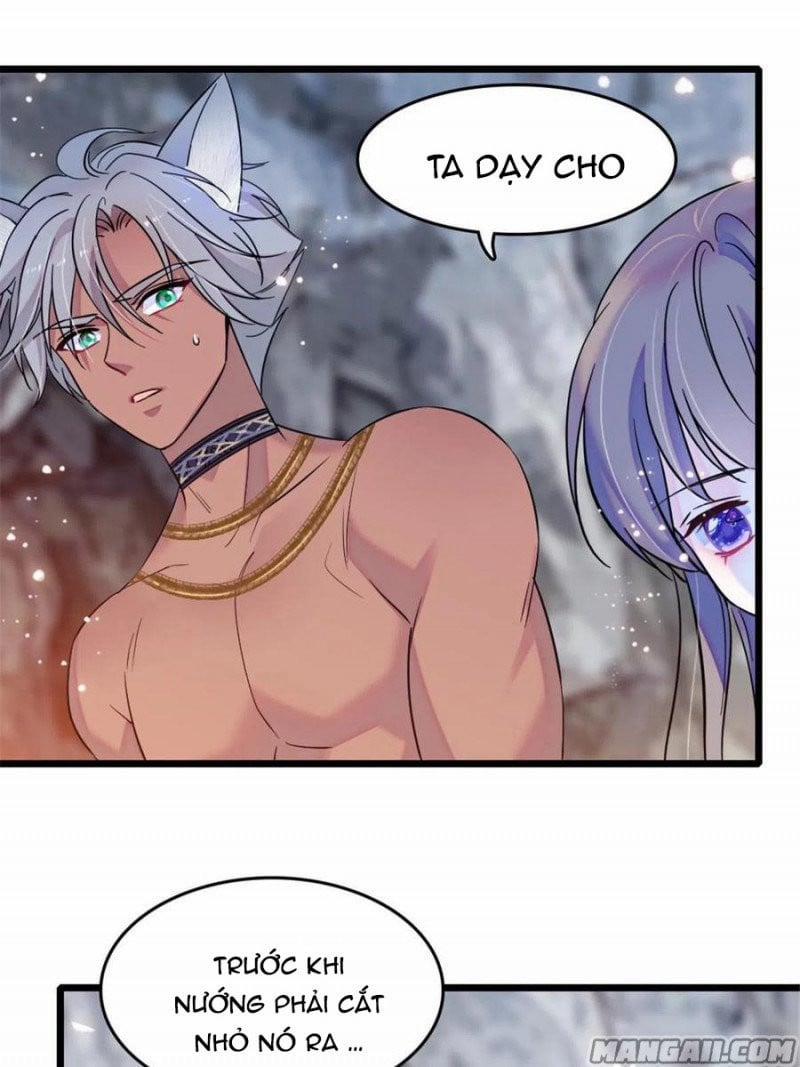 Mau Chạy !! Nam Thần Thú Thế Đến Truy Thê 81 trang 8