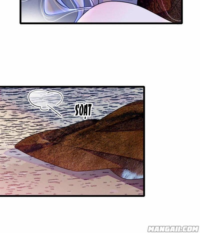 Mau Chạy !! Nam Thần Thú Thế Đến Truy Thê 86 trang 11