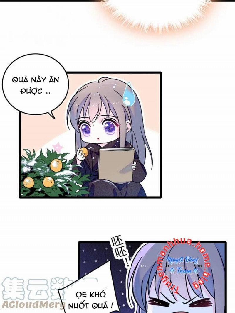 Mau Chạy !! Nam Thần Thú Thế Đến Truy Thê 91 trang 13