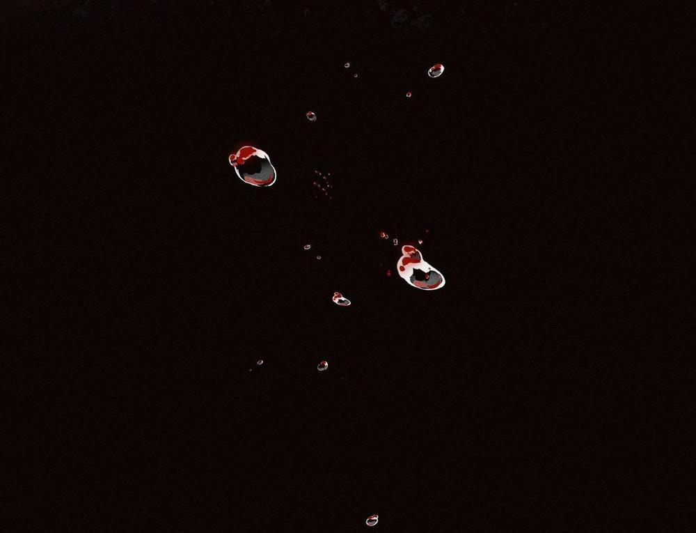 Máu Đổ 3 trang 44