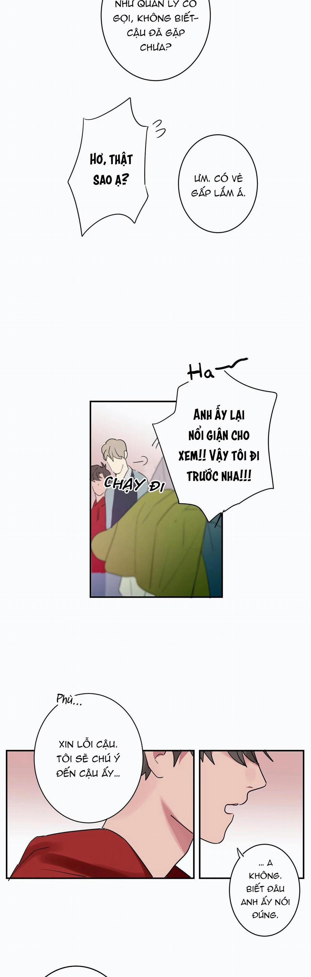 Mâu thuẫn và tương phản 1 trang 17