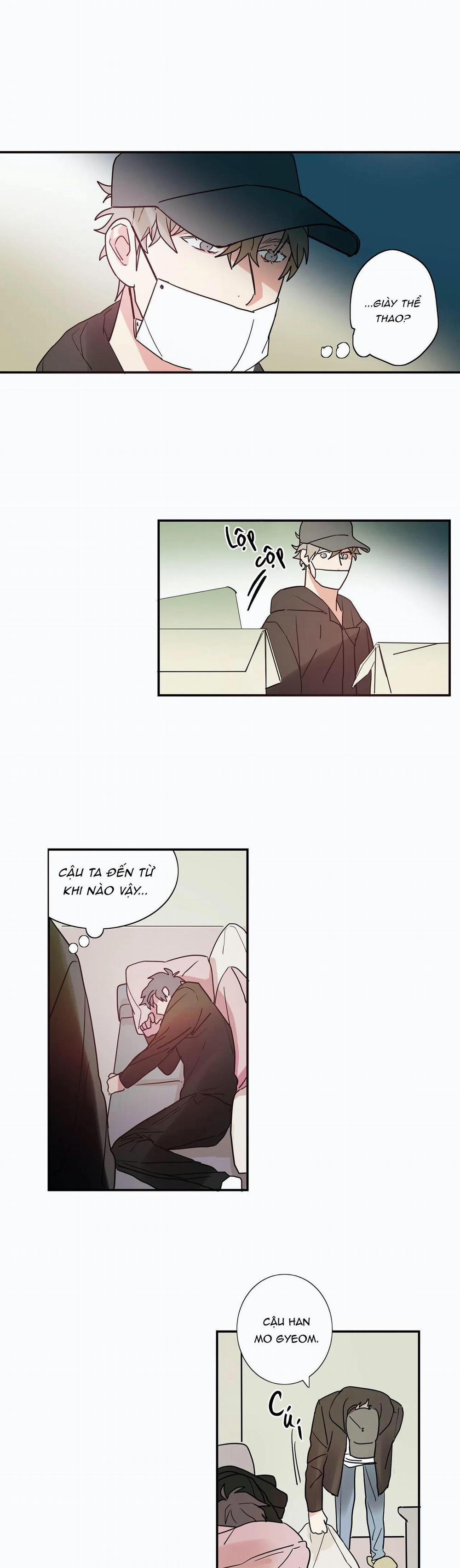 Mâu thuẫn và tương phản 2 trang 8