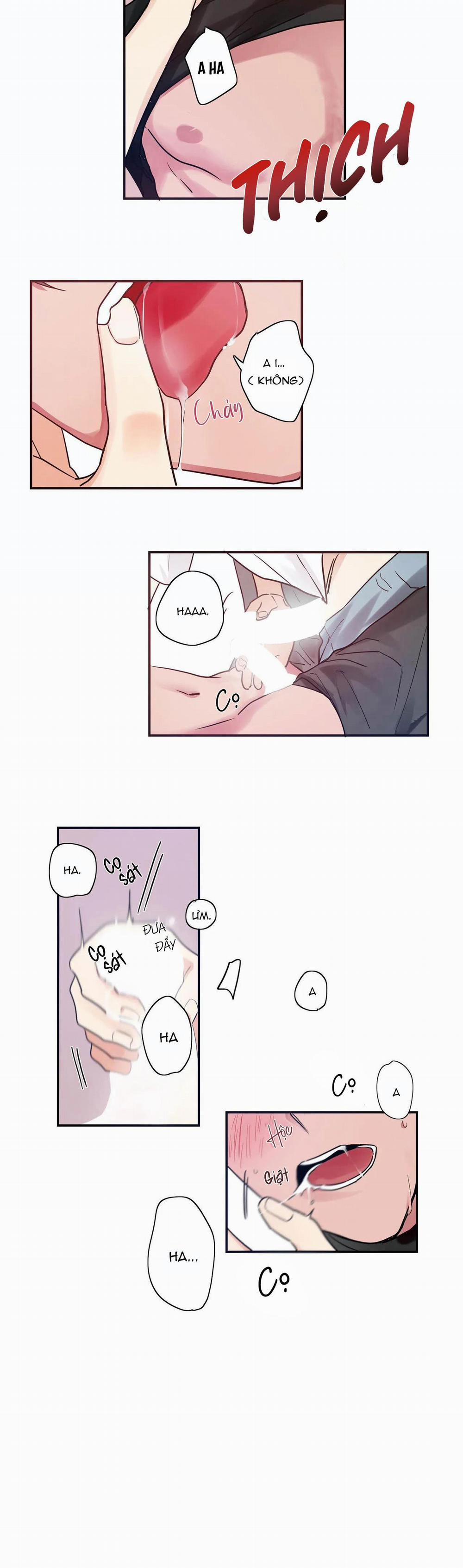 Mâu thuẫn và tương phản 3 trang 11