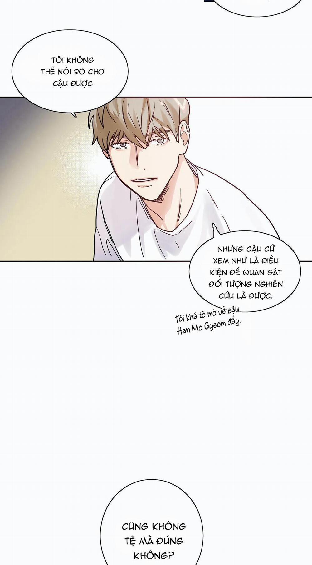 Mâu thuẫn và tương phản 3 trang 20