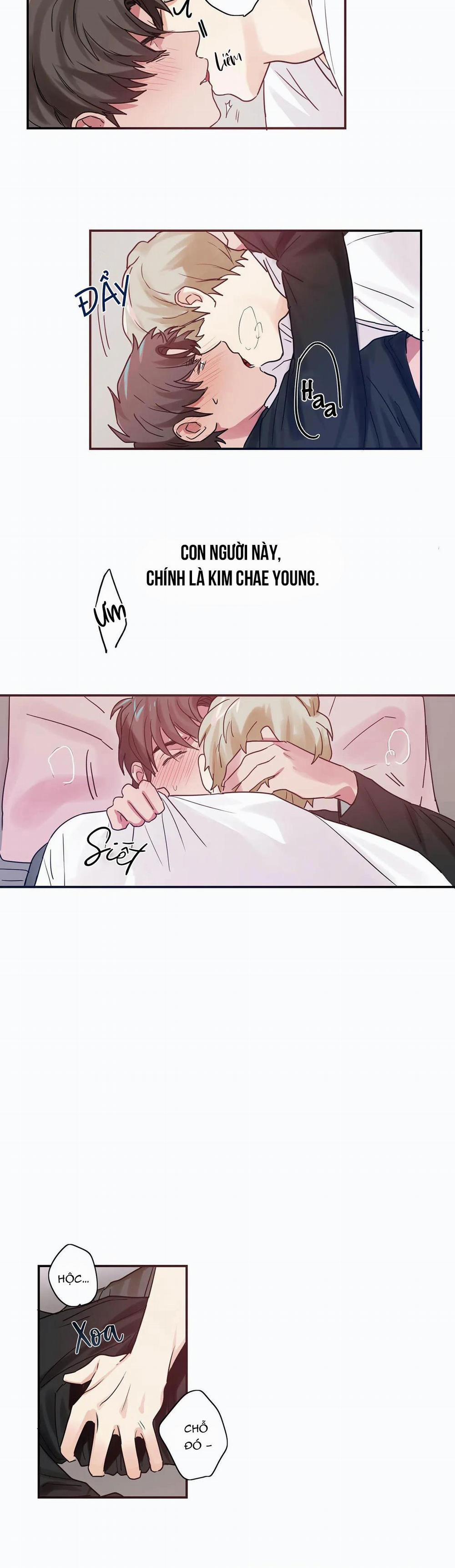 Mâu thuẫn và tương phản 3 trang 5