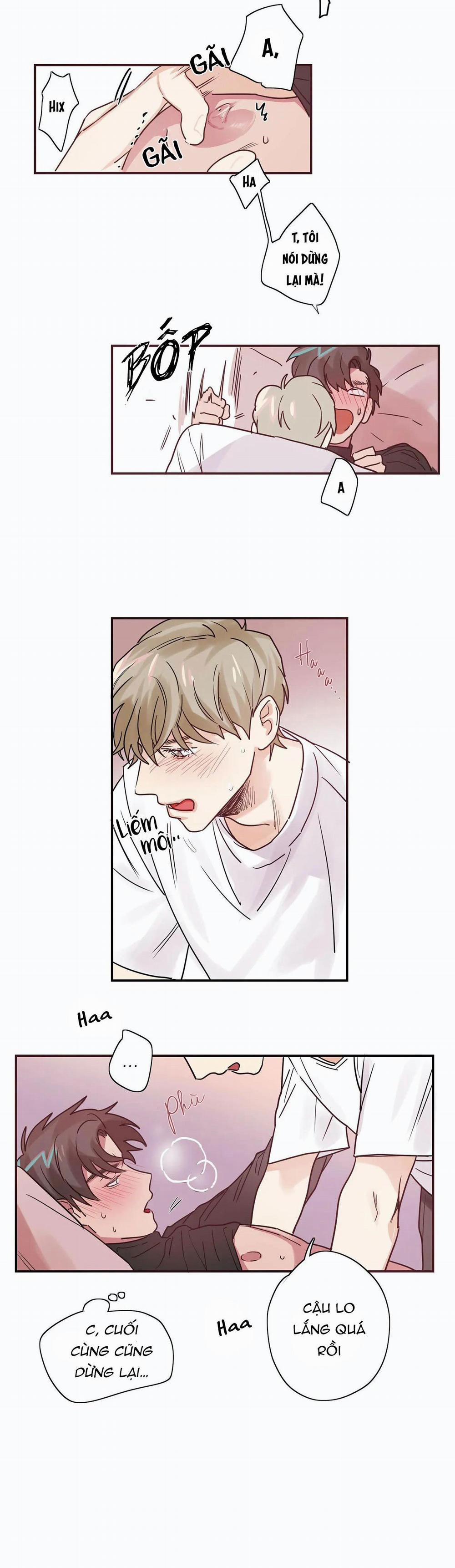 Mâu thuẫn và tương phản 3 trang 7