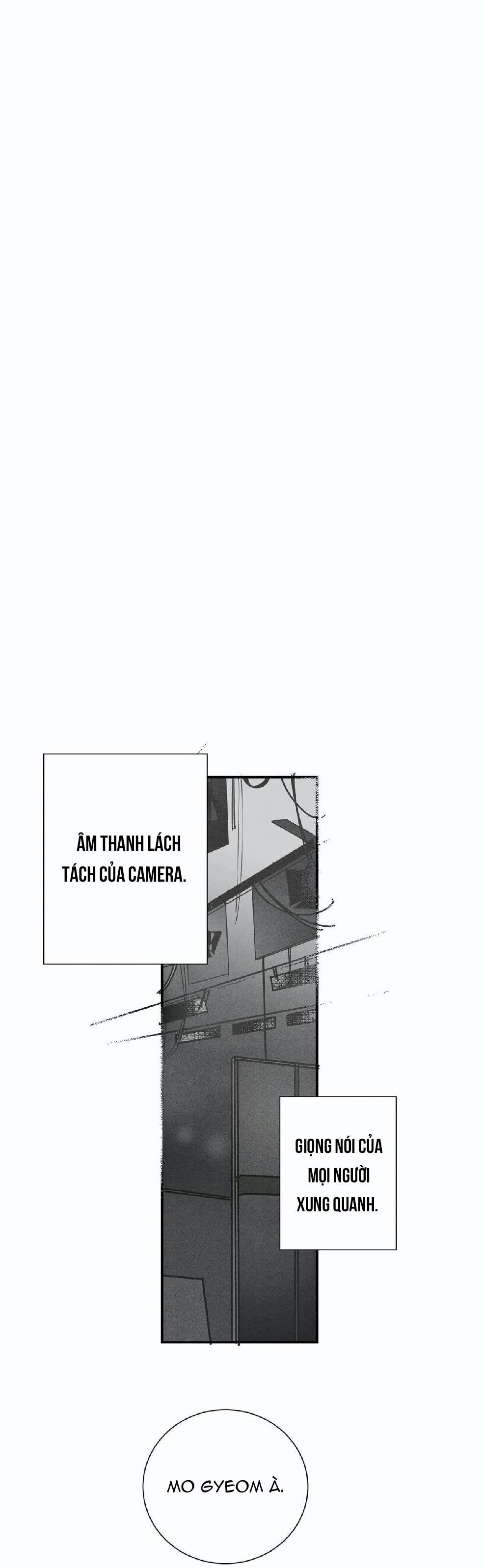 Mâu thuẫn và tương phản 5 trang 13