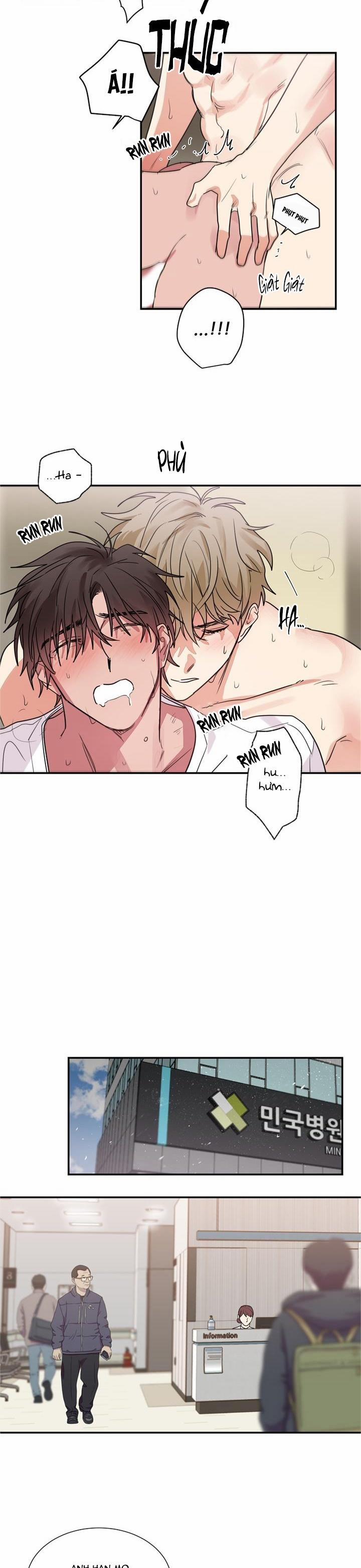 Mâu thuẫn và tương phản 52 trang 5