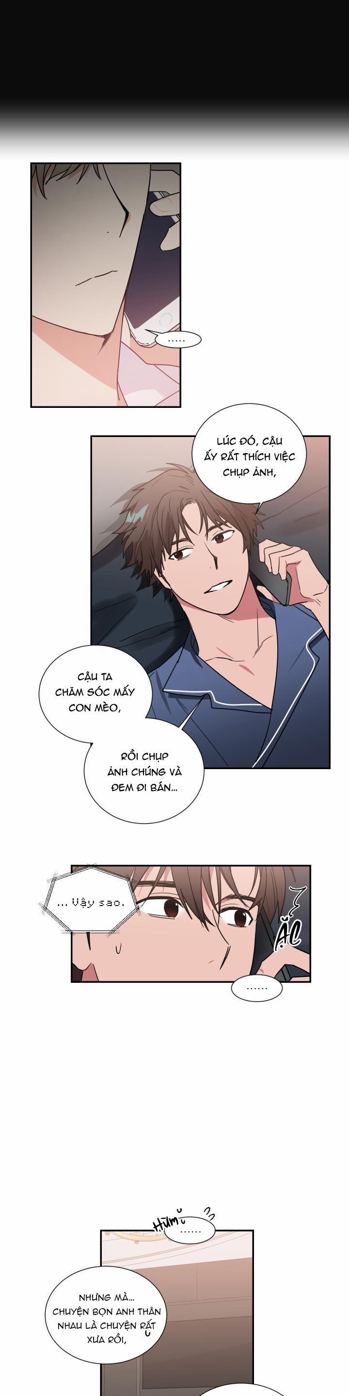 Mâu thuẫn và tương phản 54 trang 12