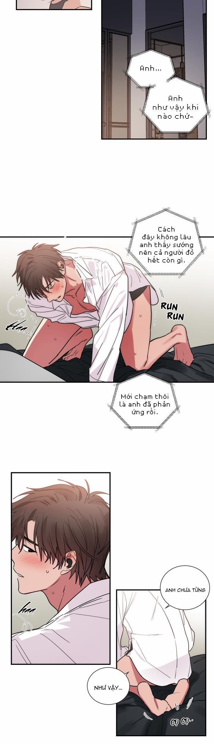 Mâu thuẫn và tương phản 55 trang 15