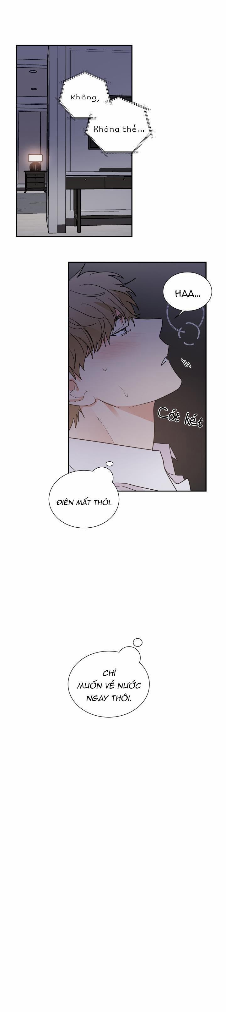 Mâu thuẫn và tương phản 55 trang 20