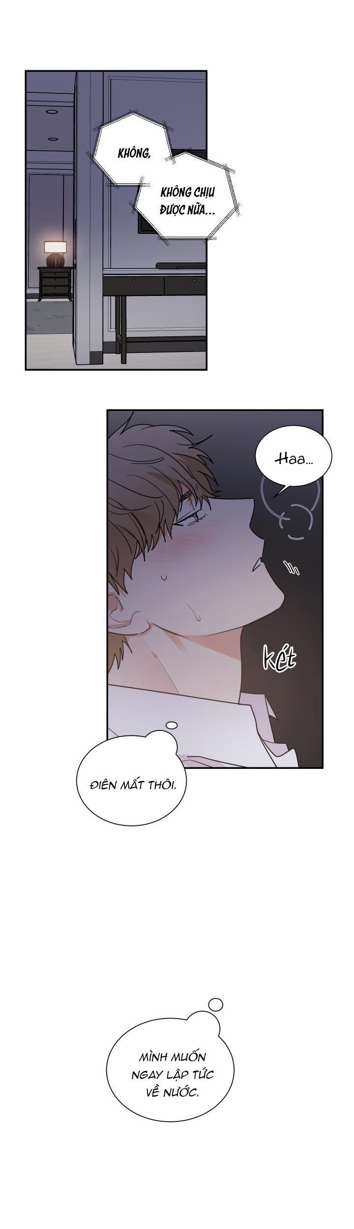 Mâu thuẫn và tương phản 56 trang 0