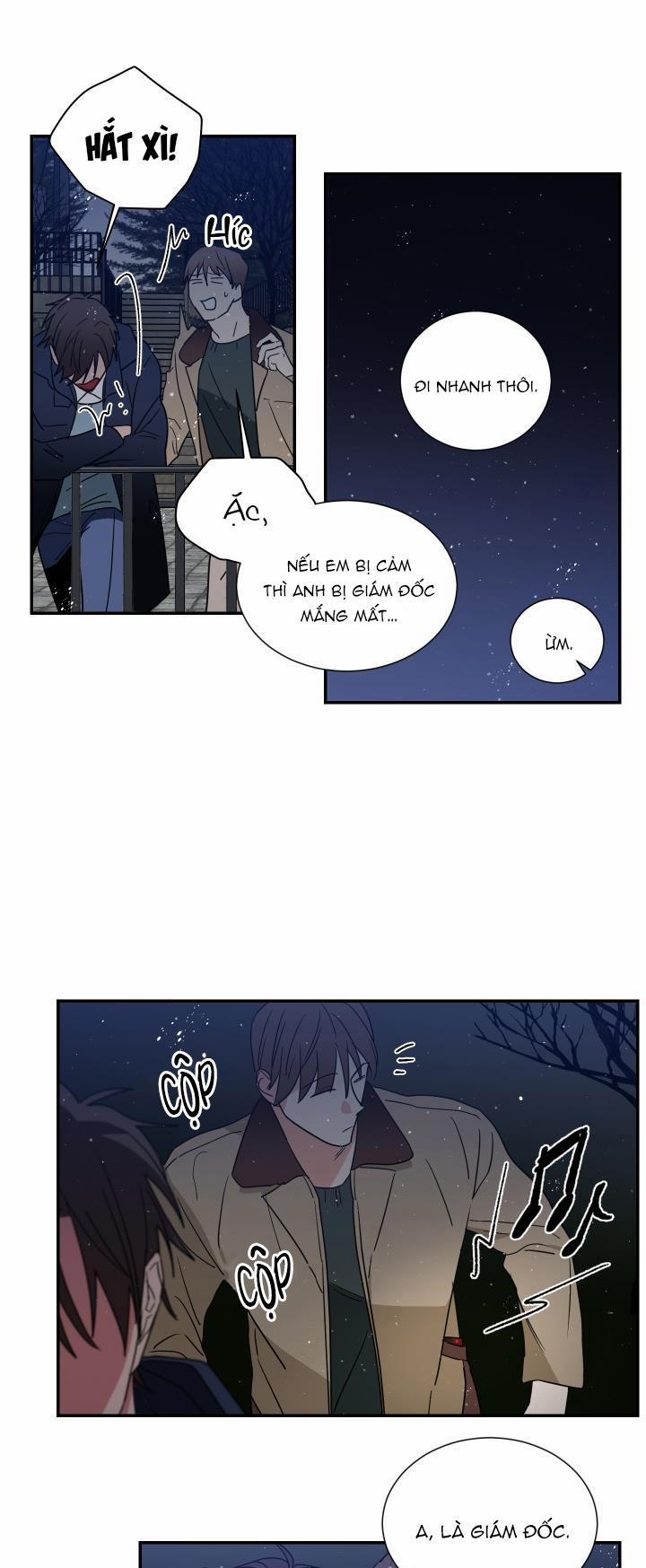 Mâu thuẫn và tương phản 58 trang 12