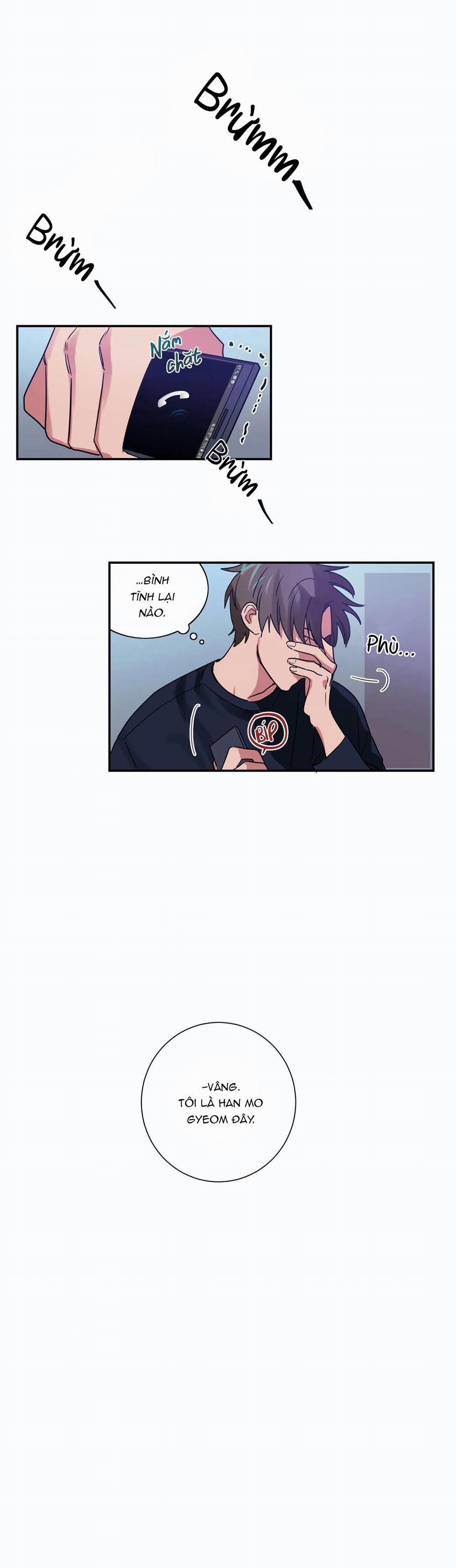 Mâu thuẫn và tương phản 6 trang 0