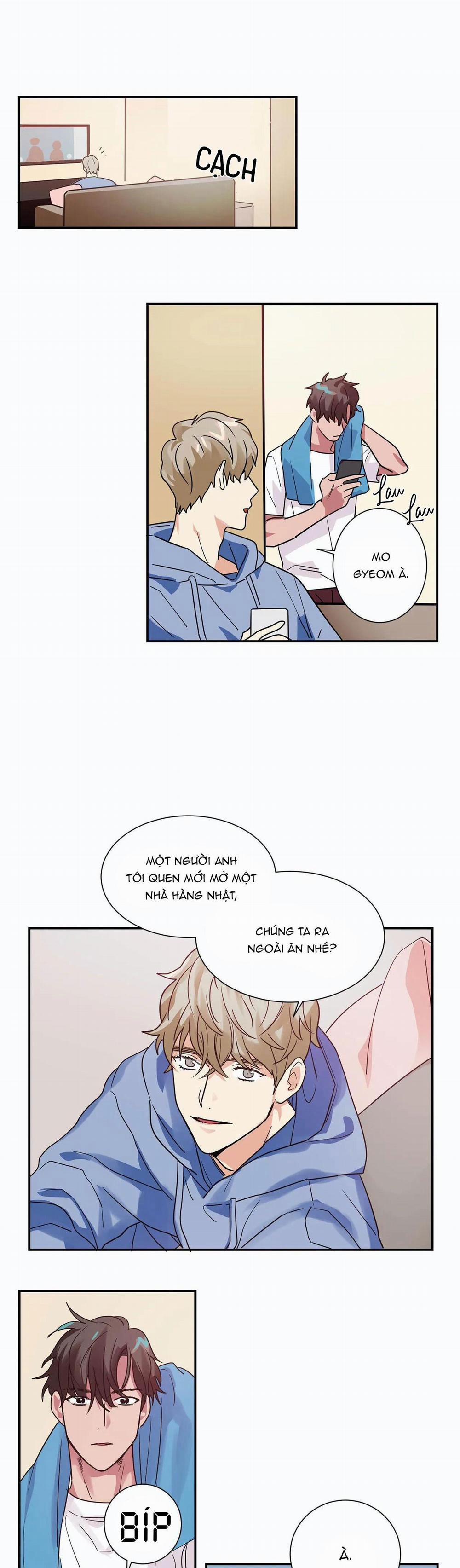 Mâu thuẫn và tương phản 6 trang 10