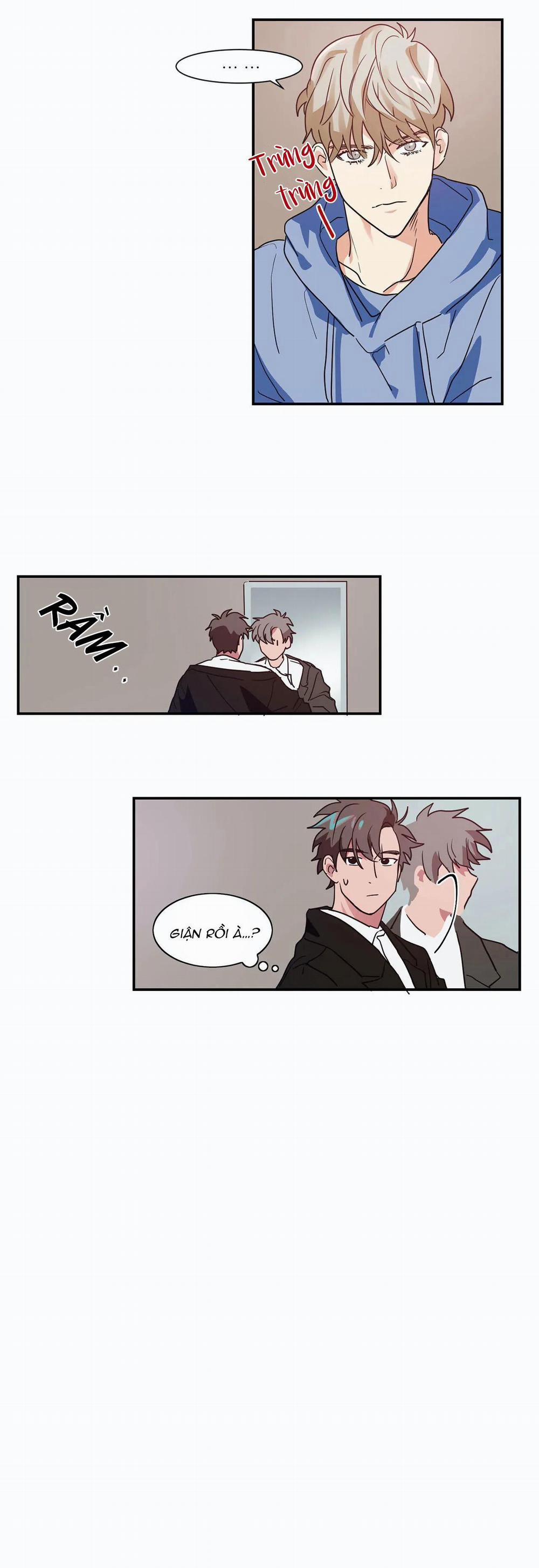 Mâu thuẫn và tương phản 6 trang 12