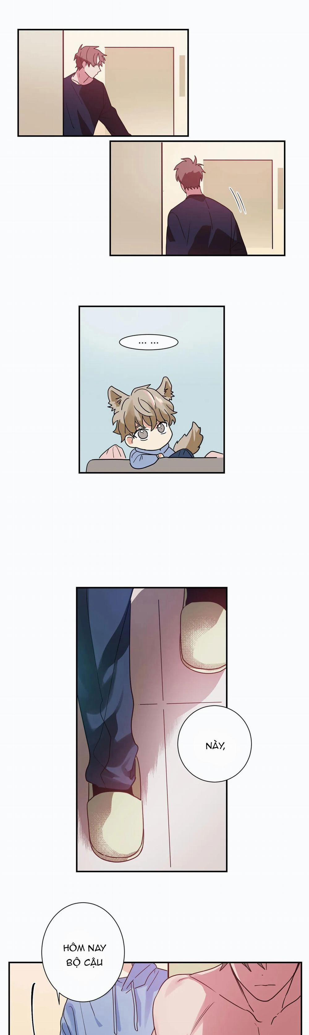 Mâu thuẫn và tương phản 6 trang 4