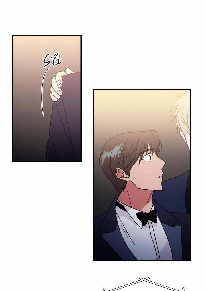 Mâu thuẫn và tương phản 61 trang 17