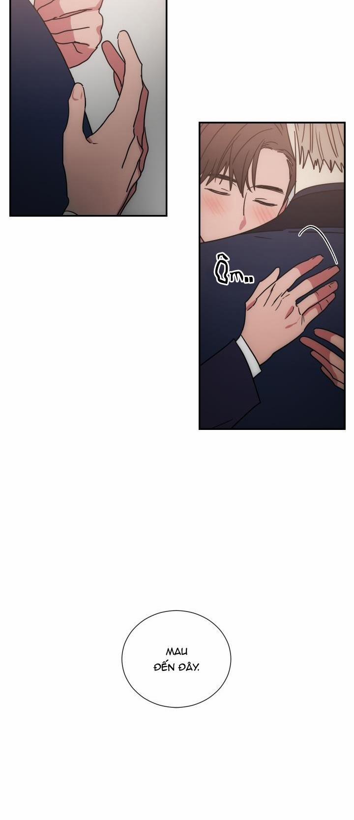 Mâu thuẫn và tương phản 62 trang 19