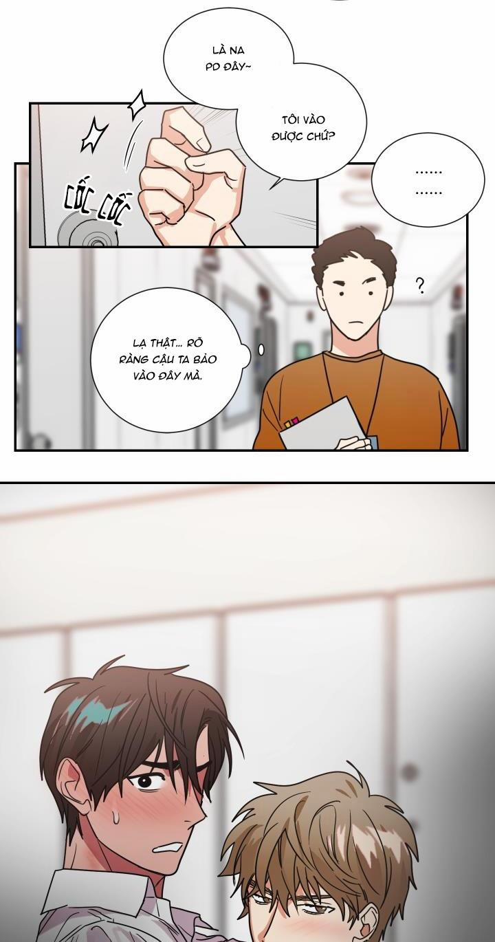 Mâu thuẫn và tương phản 63 trang 14